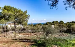 Plot in Sol de Mallorca - Screenshot_1