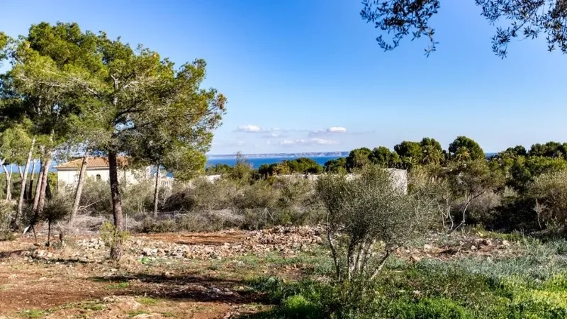 Plot in Sol de Mallorca - Screenshot_1