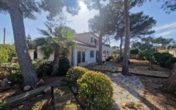Villa in El Toro - Port Adriano - 20250217_112150