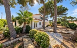 Villa in El Toro - Port Adriano - ChatGPT Image Sep 16, 2026, 05_11_56 PM.jpg