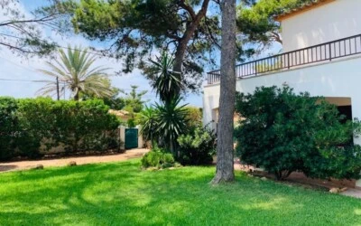 Villa in El Toro - Port Adriano - WhatsApp Image 2021-06-04 at 10.58.355