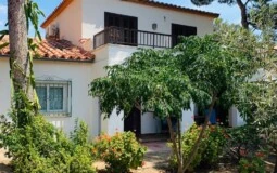Villa in El Toro - Port Adriano - WhatsApp Image 2021-06-04 at 10.58.3614