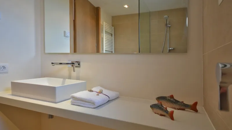 Townhouse in Porto Colom - bathroom 004