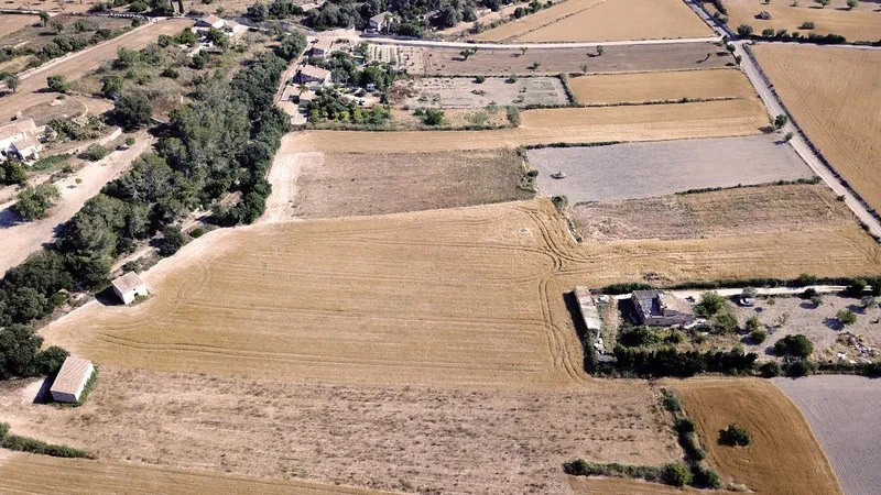 Finca in Sant Joan - terreno perspectiva