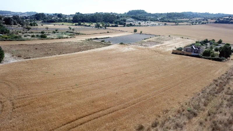Finca in Sant Joan - terreno sin casas