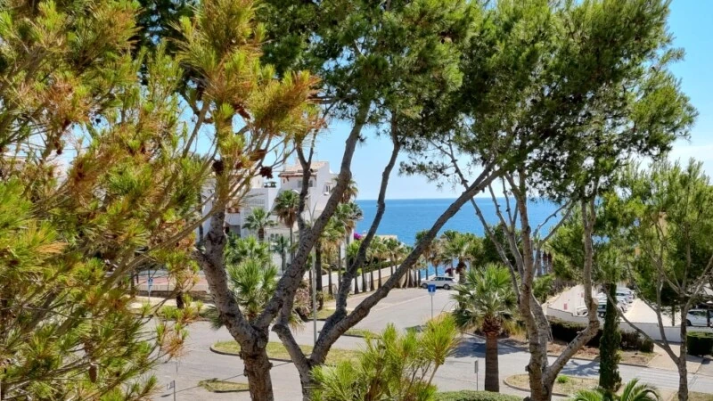 Penthouse in Nova Santa Ponsa - WhatsApp Image 2021-06-22 at 17.30.388