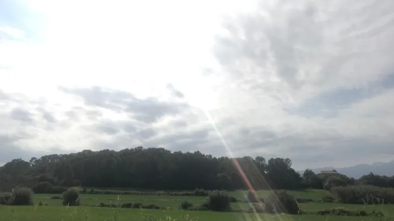 Plot in Muro - IMG-20191007-WA0003