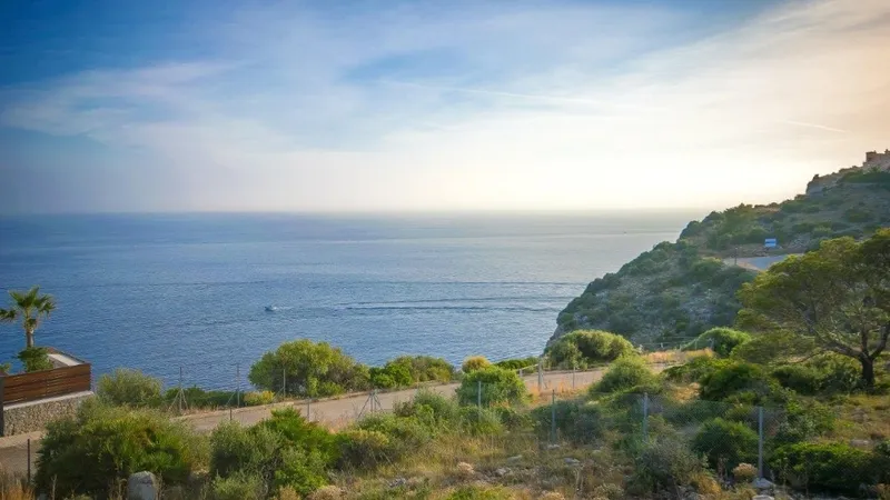 Plot in La Mola - APM_AllAboutLaMola_Links_01