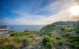 Plot in La Mola - APM_AllAboutLaMola_Links_04