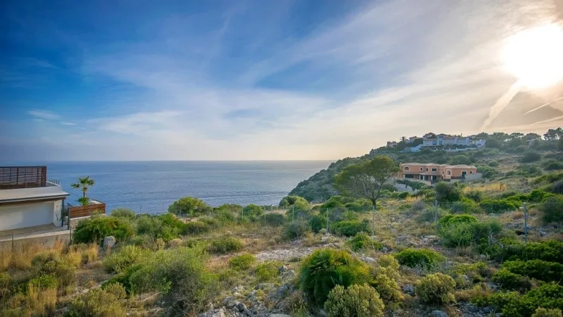 Plot in La Mola - APM_AllAboutLaMola_Links_04