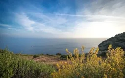 Plot in La Mola - APM_AllAboutLaMola_Rechts_01