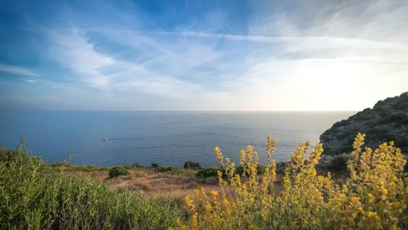 Plot in La Mola - APM_AllAboutLaMola_Rechts_01