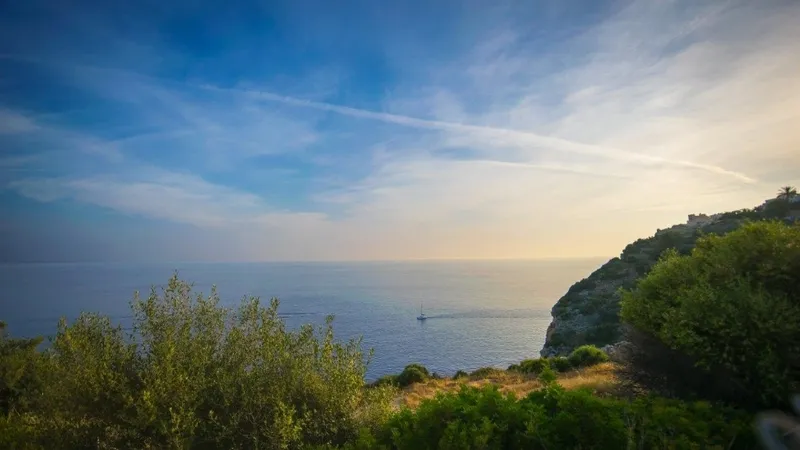 Plot in La Mola - APM_AllAboutLaMola_Rechts_02