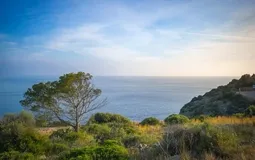Plot in La Mola - APM_AllAboutLaMola_Rechts_03