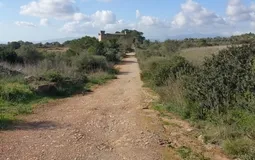 Finca in Montuïri - IMG-20191207-WA0000