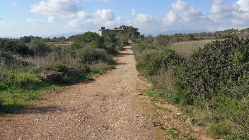 Finca in Montuïri - IMG-20191207-WA0000