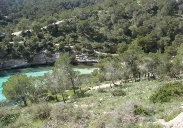 Building Plot in Portals Vells - DSC03514