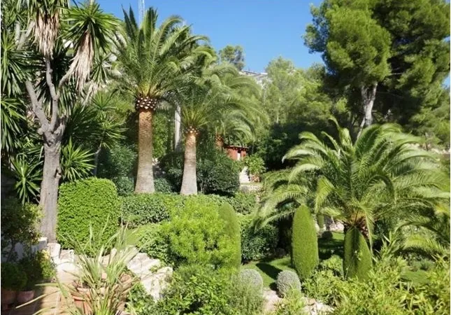 Villa in Son Vida - Captura3