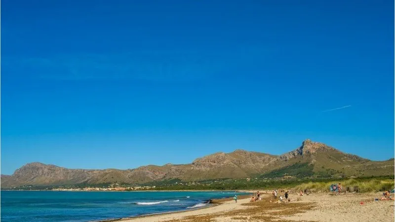 Rural Hotel in Alcúdia - Captura3