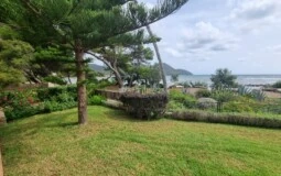 Villa in Port Verd - WhatsApp Image 2021-09-23 at 14.05.35