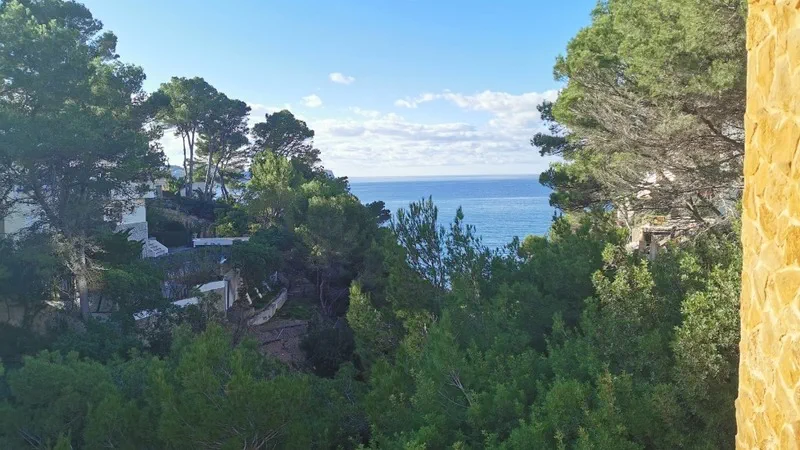 Villa in Costa de la Calma - WhatsApp Image 2022-02-11 at 12.29.43 PM3