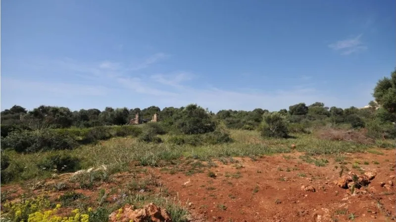 Villa in Cala Morlanda - Captura11