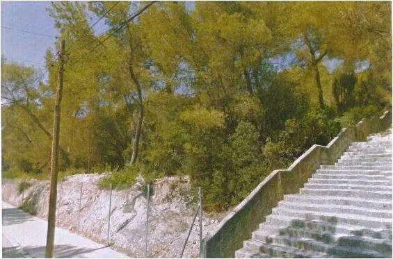 Plot in Santa Ponsa - Captura6