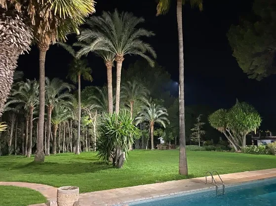 Finca in Palma Outskirts - PHOTO-2022-02-16-12-09-06