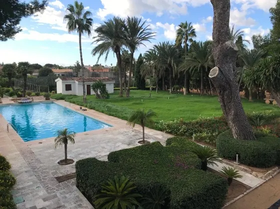 Finca in Palma Outskirts - PHOTO-2022-02-16-12-09-06_5