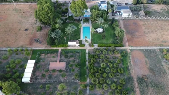 Finca in Palma Outskirts - PHOTO-2022-02-16-12-13-48