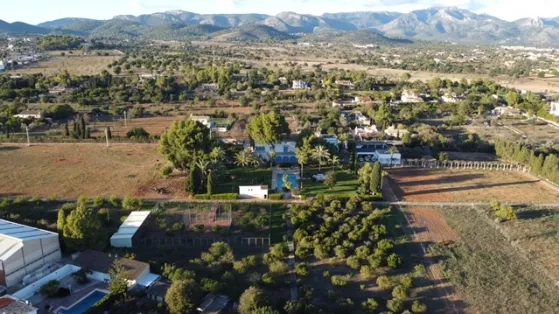 Finca in Palma Outskirts - PHOTO-2022-02-16-12-13-48_6