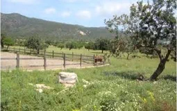 Finca in Calvià Village - Captura4