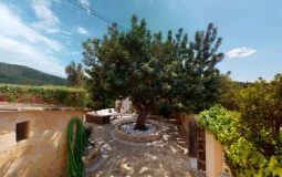 Finca in Calvià Village - F-Calvia-122-05302022_130802