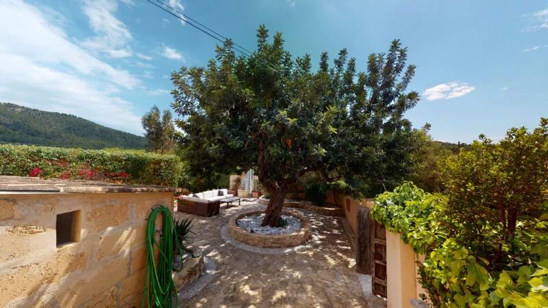 Finca in Calvià Village - F-Calvia-122-05302022_130802
