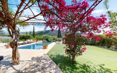 Finca in Calvià Village - F-Calvia-122-05032023_103943