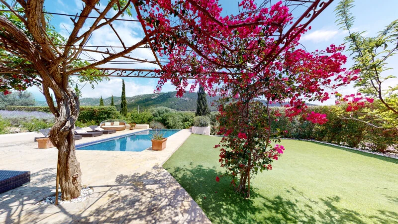 Finca in Calvià Village - F-Calvia-122-05032023_103943