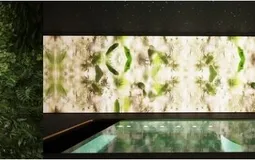 Townhouse in Palma Casco Antiguo - Captura9