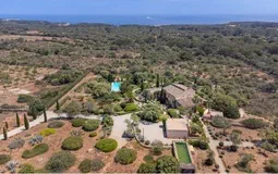 Finca in S´Horta - Captura2