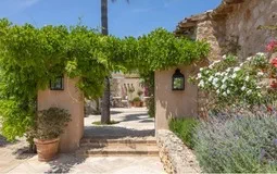 Finca in S´Horta - Captura17