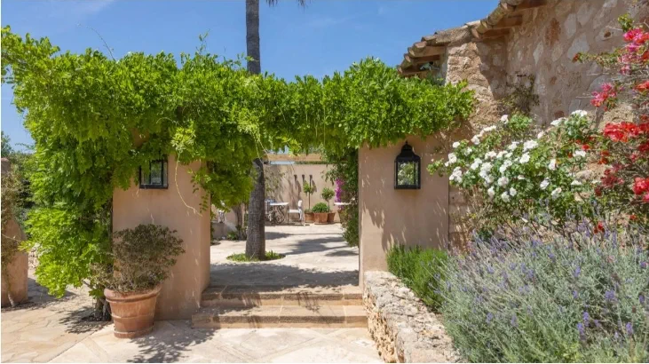 Finca in S´Horta - Captura17
