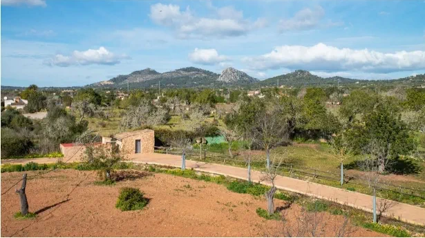 Finca in Llucmajor - Captura10