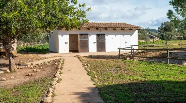 Finca in Llucmajor - Captura11