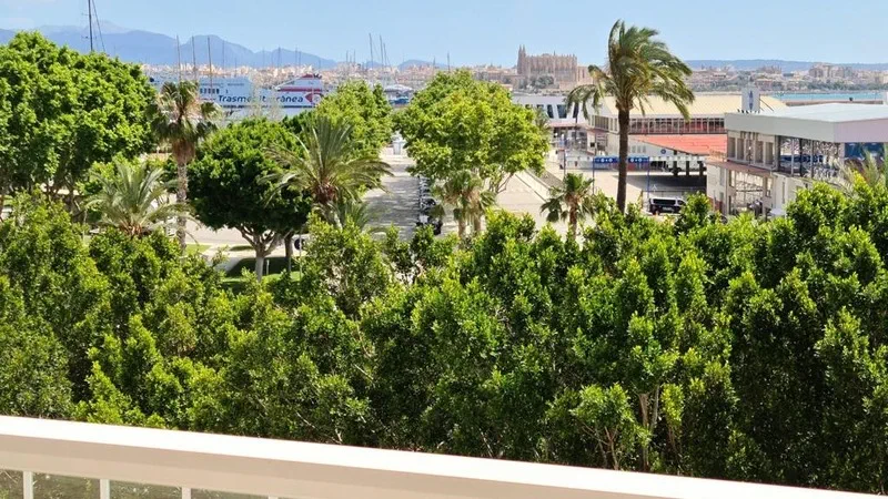 Apartment in Paseo Marítimo - WhatsApp Image 2022-06-28 at 12.06.29 PM17