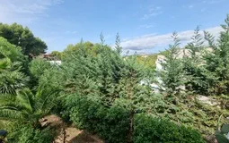 Villa in Nova Santa Ponsa - WhatsApp Image 2022-10-04 at 12.57.0616