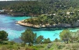 Building Plot in Portals Vells - View