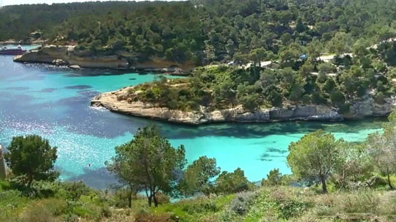 Building Plot in Portals Vells - View