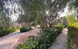 Finca in Puntiró - WhatsApp Image 2023-02-01 at 13.13.5315