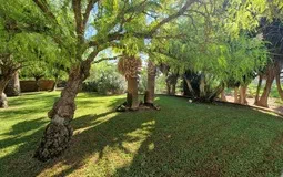 Finca in Campos - WhatsApp Image 2023-09-14 at 14.48.0514
