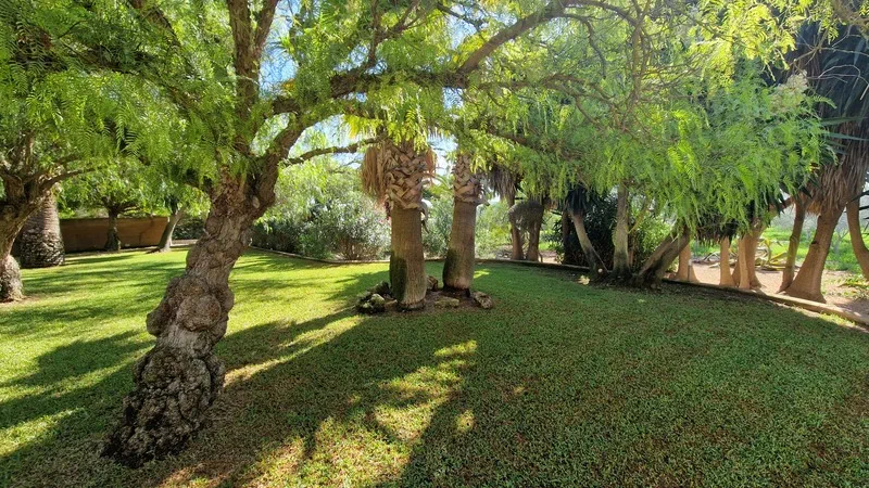 Finca in Campos - WhatsApp Image 2023-09-14 at 14.48.0514