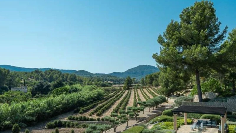 Finca in Calvià Village - WhatsApp Image 2023-03-07 at 12.30.2817